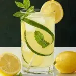Refreshing Lemonade 1 refreshing lemonade 2026 02 19 131737 771x1024 1