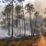 Incendie saumos le porge gironde