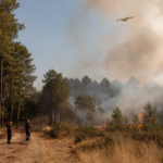 Incendie de forêt et intervention des pompiers en période de canicule en Gironde