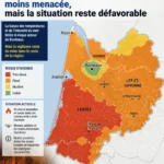 Incendies en Aquitaine avec un focus sur l'agglomération bordelaise